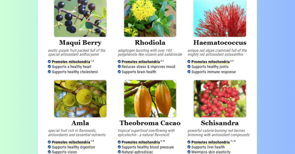 Mitolyn ingredient